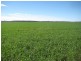Jandowae QLD 4410