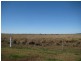 Jandowae QLD 4410