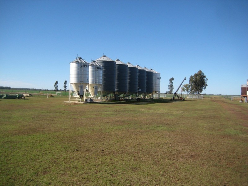 Jandowae QLD 4410