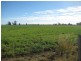 Jandowae QLD 4410