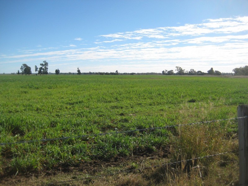 Jandowae QLD 4410