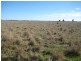 Jandowae QLD 4410