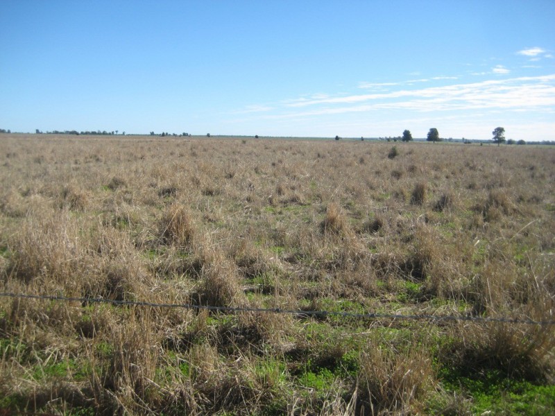 Jandowae QLD 4410