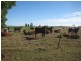 Jandowae QLD 4410