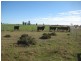 Jandowae QLD 4410