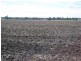 Jandowae QLD 4410