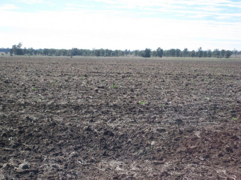 Jandowae QLD 4410
