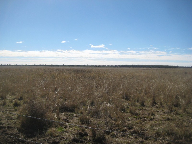 Jandowae QLD 4410