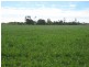Jandowae QLD 4410