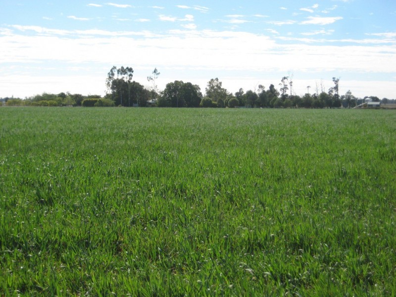Jandowae QLD 4410