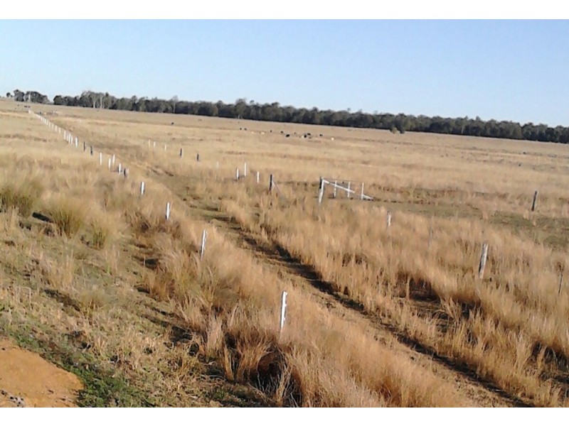 ” Bloomfield “, Jandowae QLD 4410