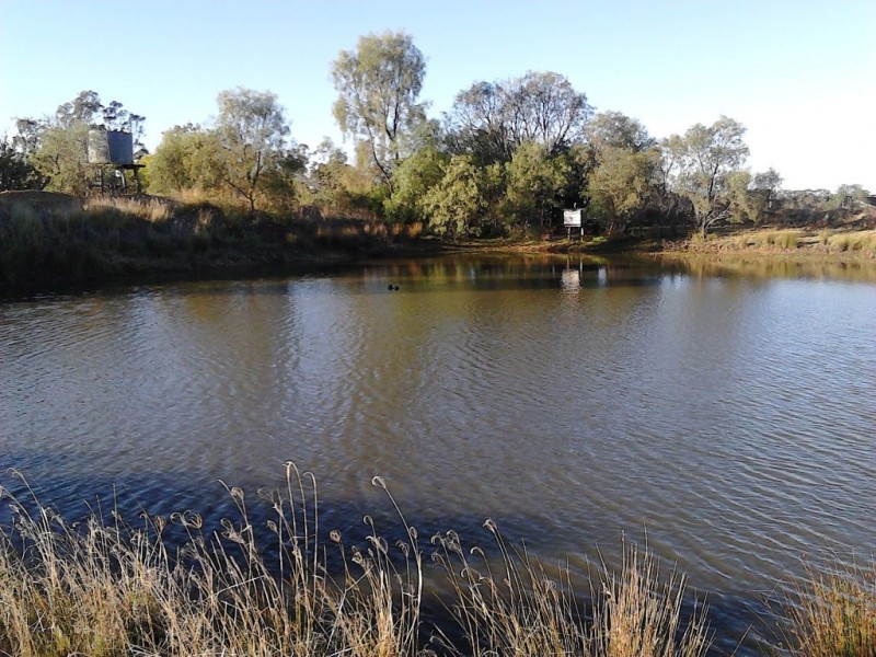 ” Bloomfield “, Jandowae QLD 4410