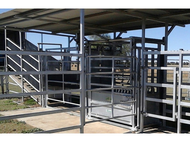 ” Bloomfield “, Jandowae QLD 4410