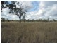 190 Myall Park Road, Miles QLD 4415