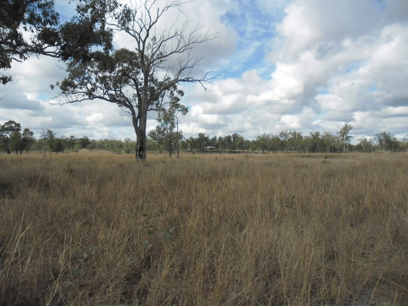 190 Myall Park Road, Miles QLD 4415