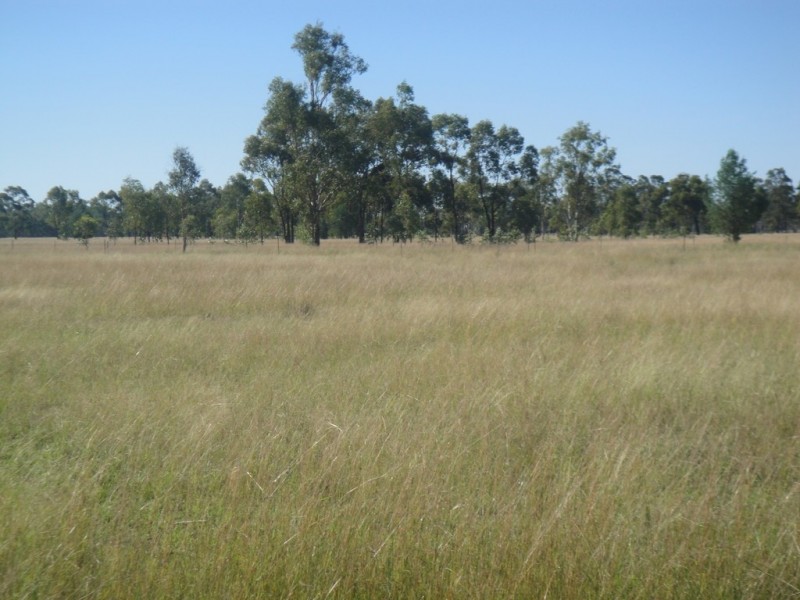 Dalby QLD 4405