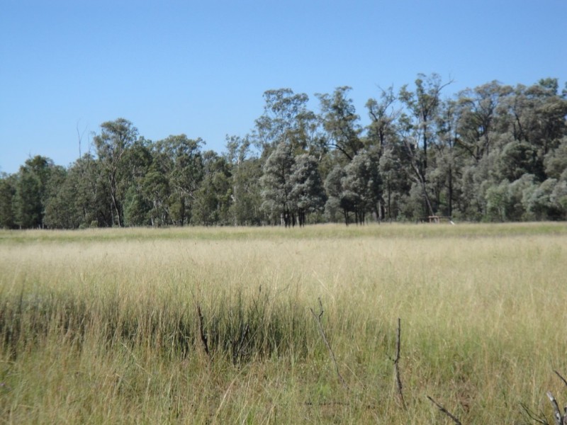 Dalby QLD 4405
