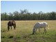Dalby QLD 4405