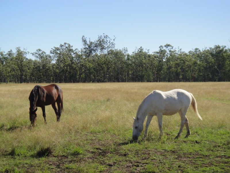 Dalby QLD 4405