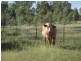 Dalby QLD 4405