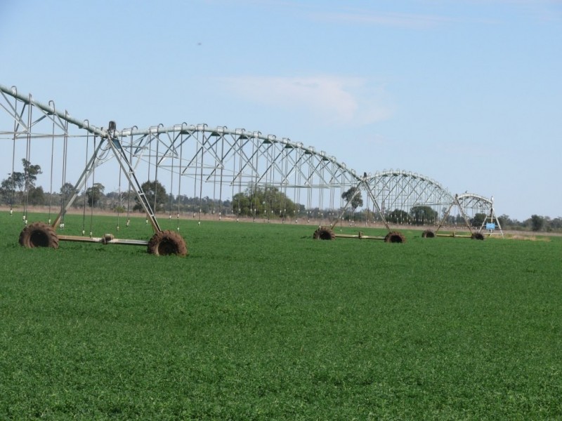 ” Combarngo South”, Yuleba QLD 4427