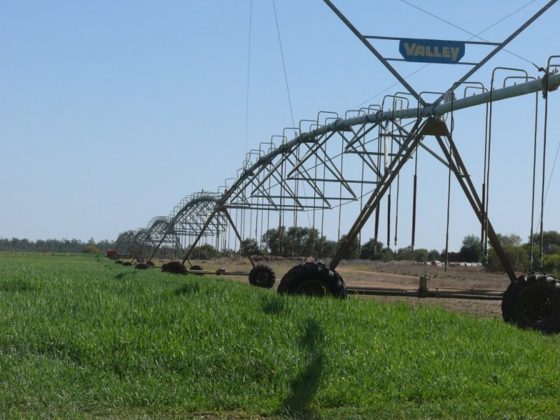 ” Combarngo South”, Yuleba QLD 4427