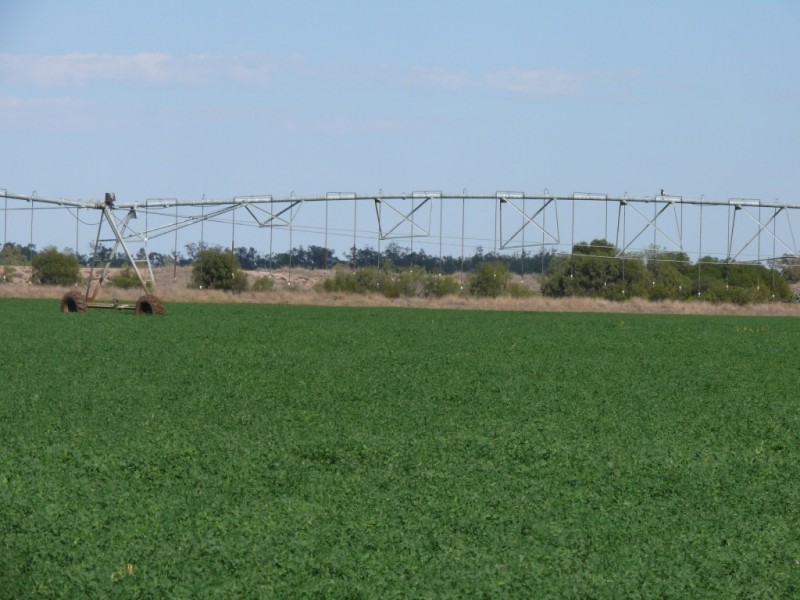 ” Combarngo South”, Yuleba QLD 4427