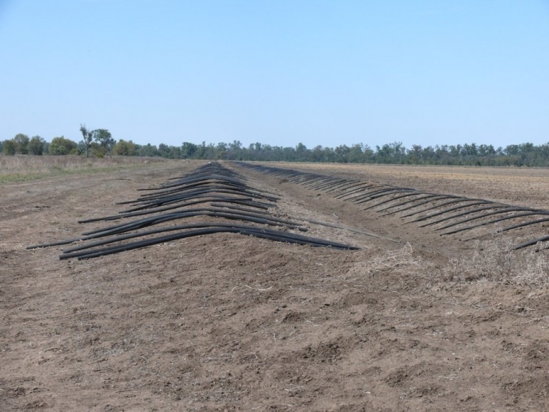 ” Combarngo South”, Yuleba QLD 4427