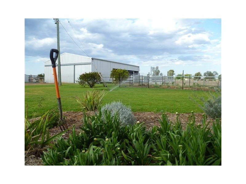 50 BUNGEWOGORAI RD, Roma QLD 4455