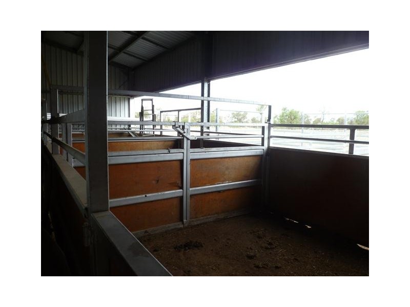 50 BUNGEWOGORAI RD, Roma QLD 4455