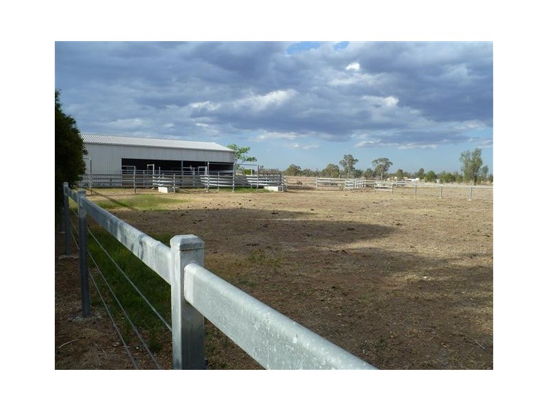 50 BUNGEWOGORAI RD, Roma QLD 4455