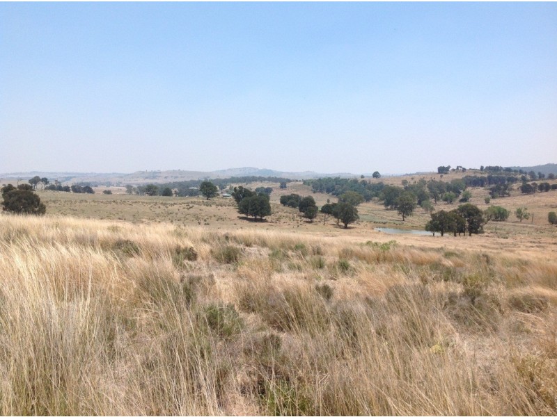 ” Carrington Vale “, Dalby QLD 4405