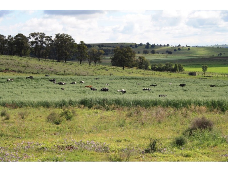” Carrington Vale “, Dalby QLD 4405