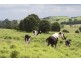 ” Carrington Vale “, Dalby QLD 4405