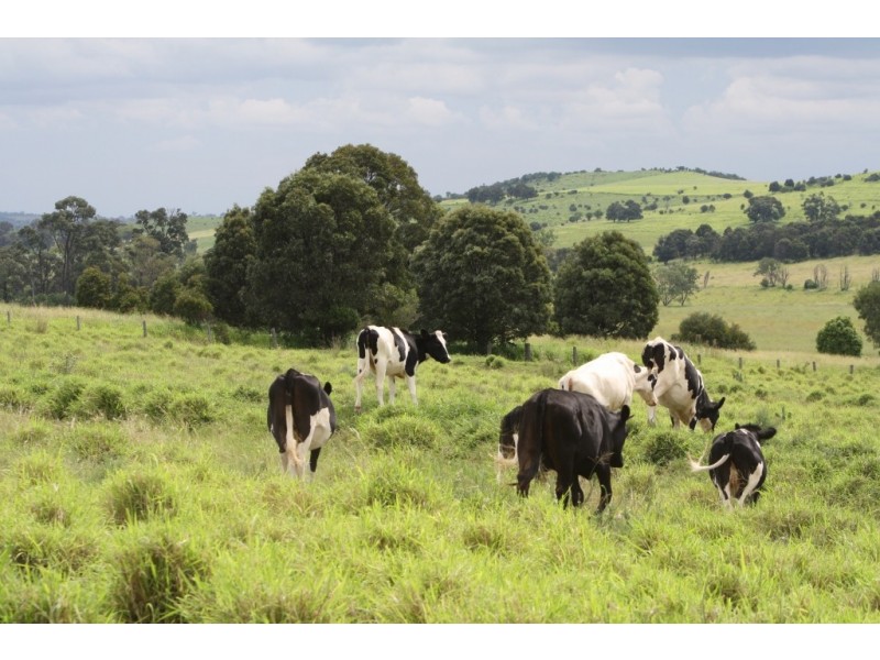” Carrington Vale “, Dalby QLD 4405