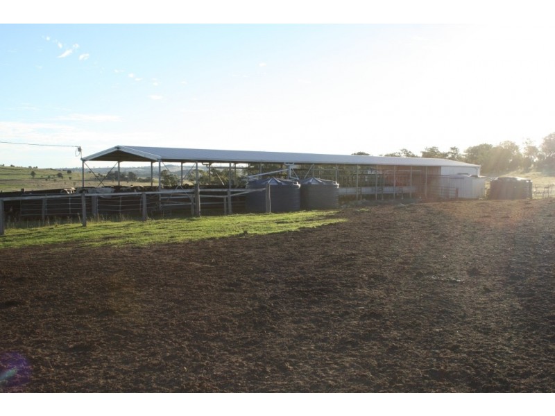 ” Carrington Vale “, Dalby QLD 4405