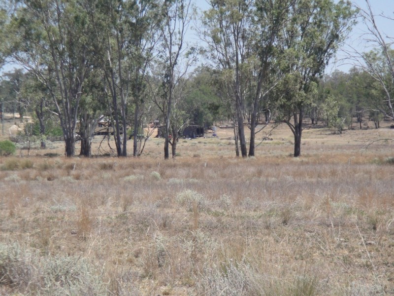” Lawn Hill “, Miles QLD 4415