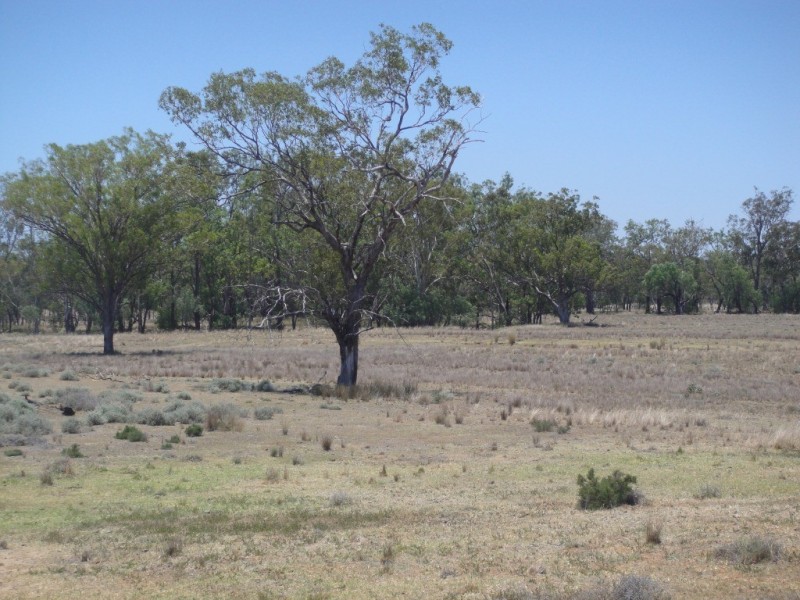 ” Lawn Hill “, Miles QLD 4415
