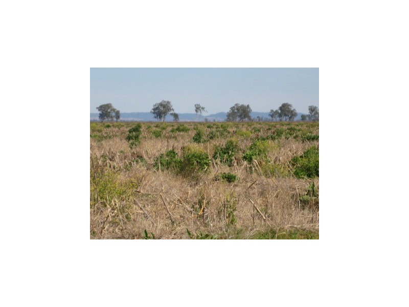 ” Canal Creek “, Millmerran QLD 4357