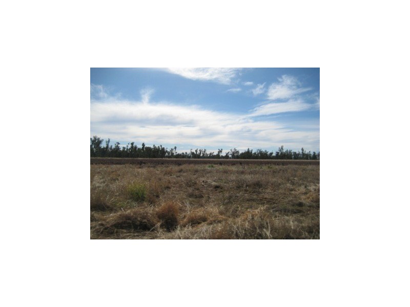 ” Canal Creek “, Millmerran QLD 4357