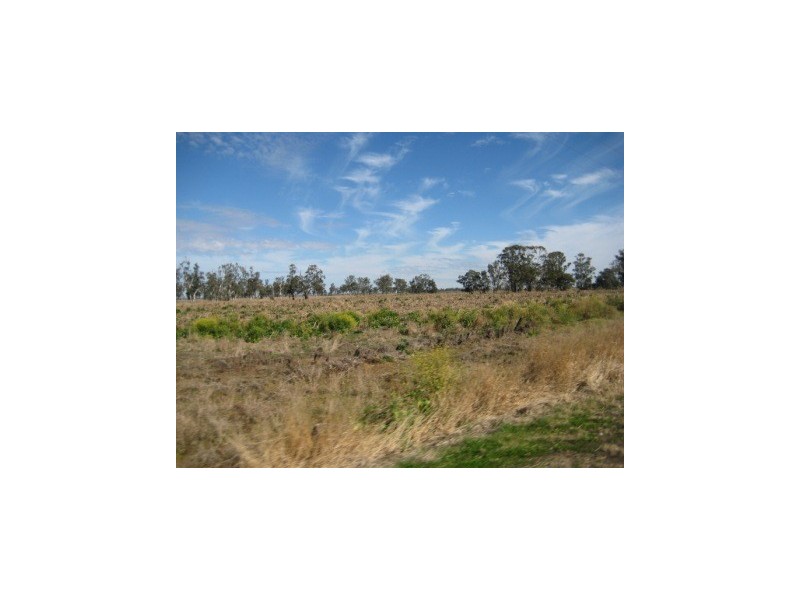 ” Canal Creek “, Millmerran QLD 4357