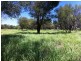 ” MONS “, Isisford QLD 4731