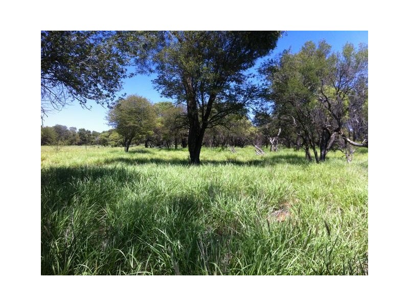 ” MONS “, Isisford QLD 4731