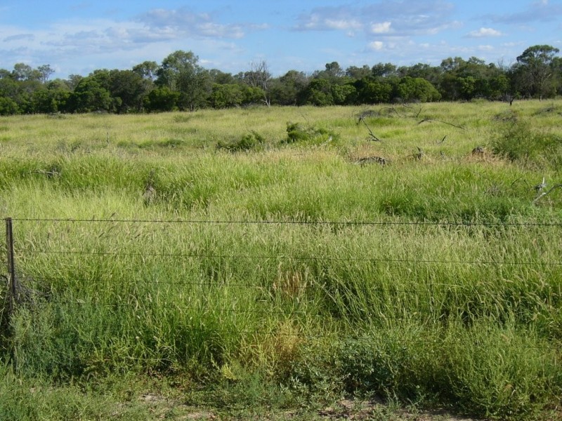 ” MONS “, Isisford QLD 4731