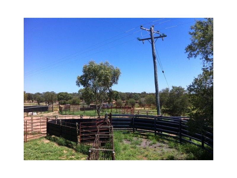 ” MONS “, Isisford QLD 4731