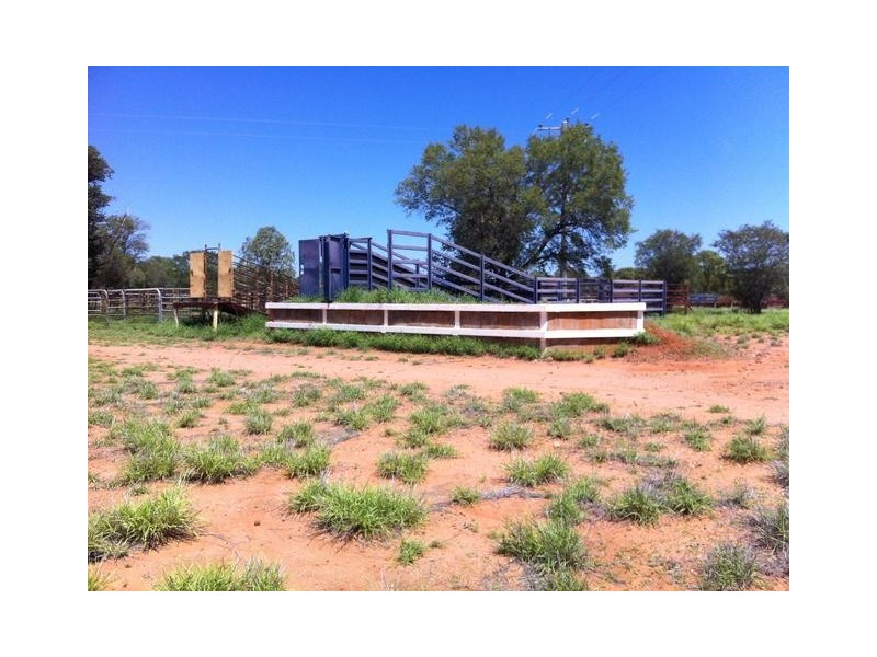 ” MONS “, Isisford QLD 4731