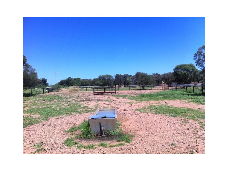 ” MONS “, Isisford QLD 4731