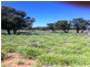 ” MONS “, Isisford QLD 4731