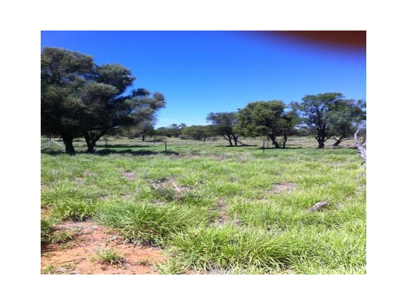 ” MONS “, Isisford QLD 4731