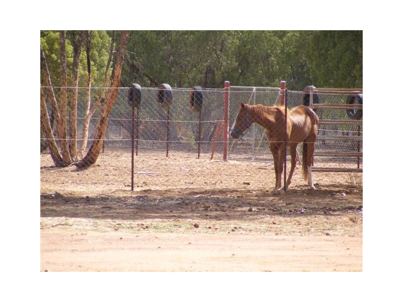 98 Wellwater Road, Charleville QLD 4470